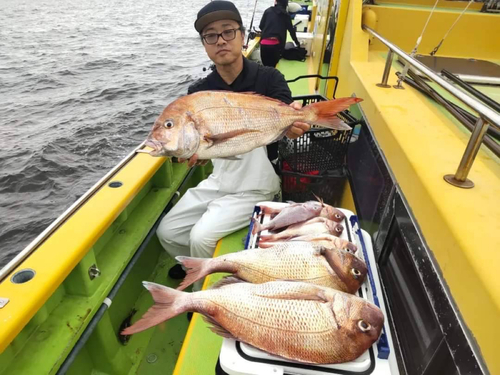 マダイの釣果