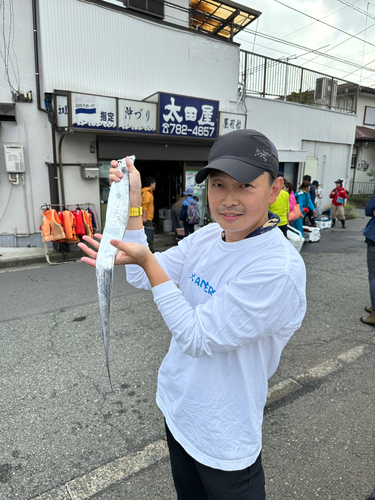 タチウオの釣果