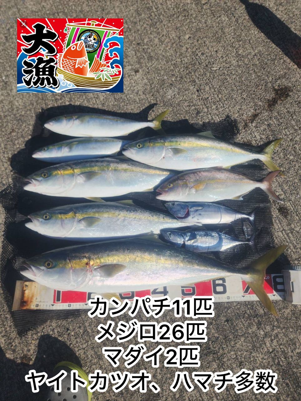 清和丸さんの釣果 2枚目の画像