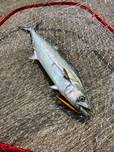 大浜釣り公園（金沢港ふれあい広場）