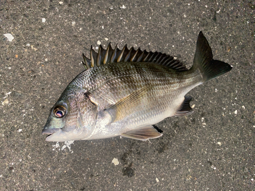 松見ヶ浦