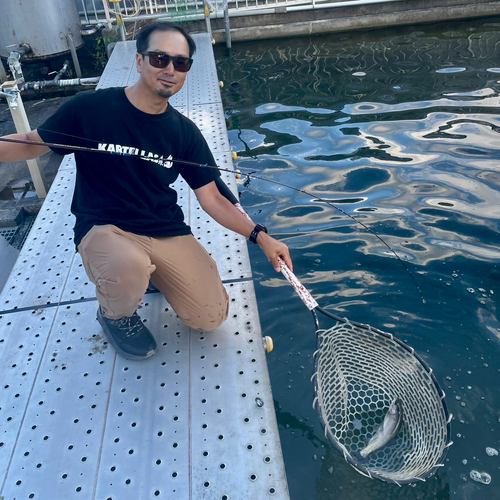 ニジマスの釣果