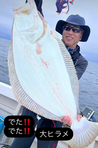 ヒラメの釣果