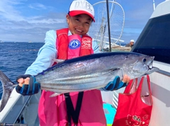 カツオの釣果