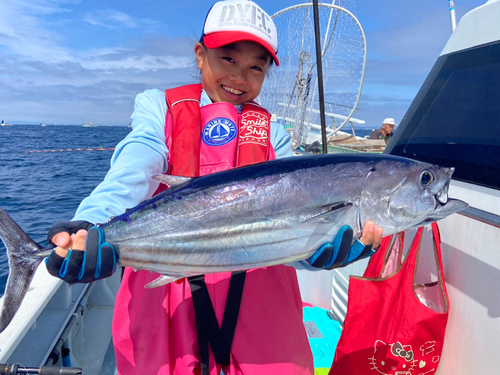 カツオの釣果