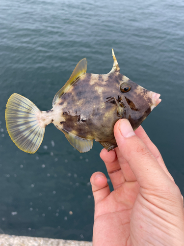 しまなみ海道