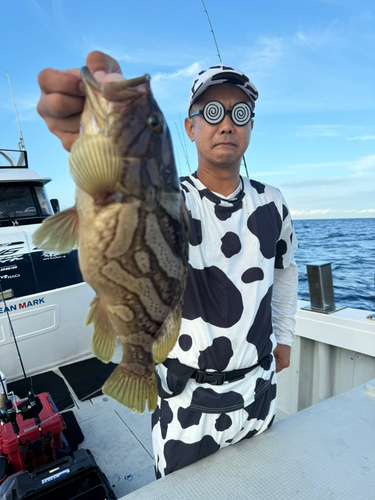 カケハシハタの釣果