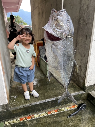 ロウニンアジの釣果