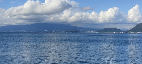 タイの釣果