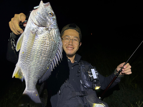 馬込川河口