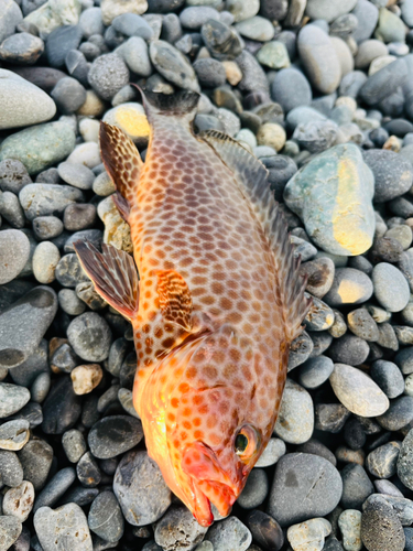 静岡県東部