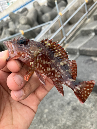 湯河原海浜公園