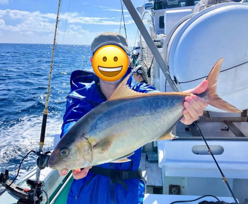 ヒレナガカンパチの釣果