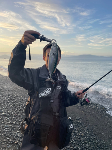 片浜海岸