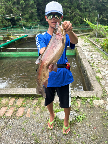 ニジマスの釣果