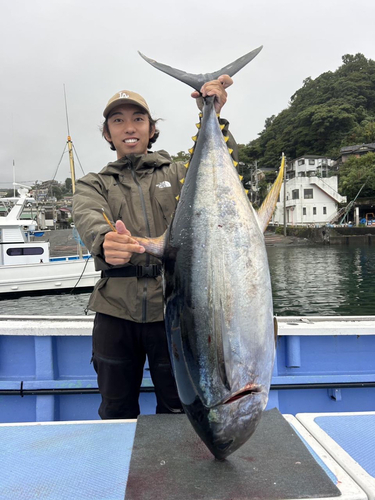 キハダマグロの釣果