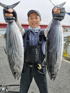 カツオの釣果