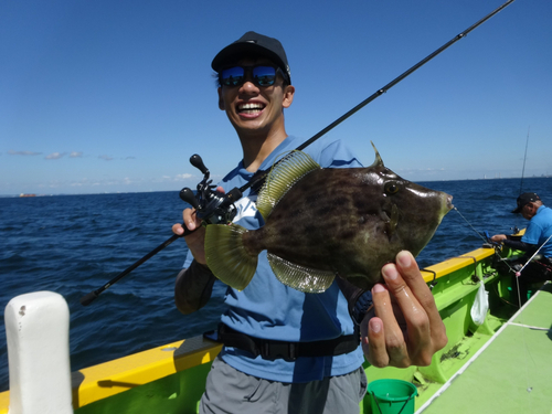 カワハギの釣果