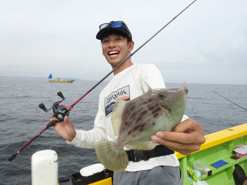 カワハギの釣果