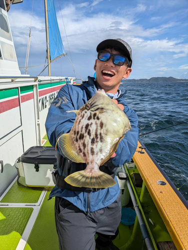 カワハギの釣果