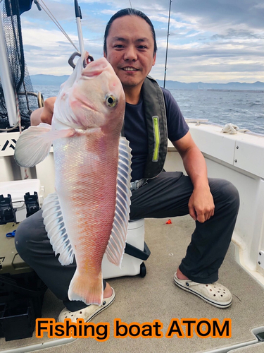 シロアマダイの釣果