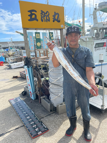 タチウオの釣果