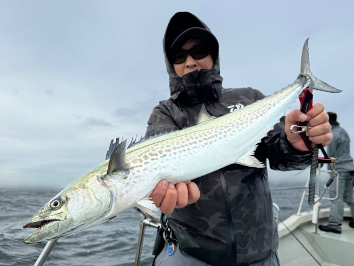 KAZUボート 釣果さんの釣果 2枚目の画像