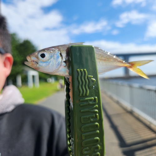 若洲海浜公園海釣り施設