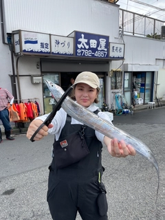 タチウオの釣果