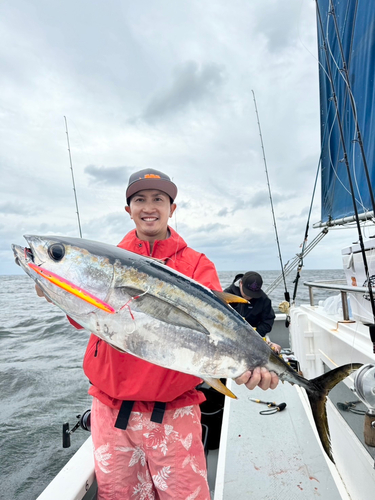 キメジの釣果