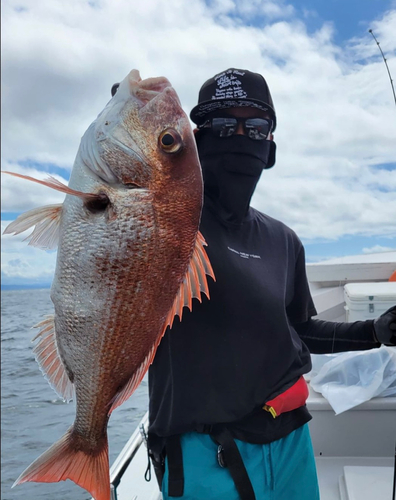 タイの釣果