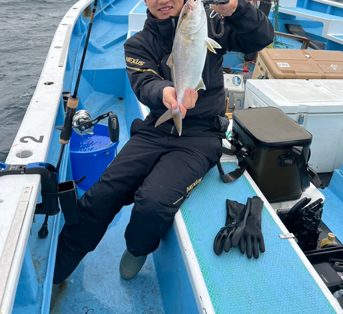 カンパチの釣果