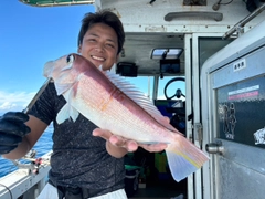 アマダイの釣果