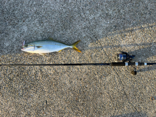 平磯海づり公園