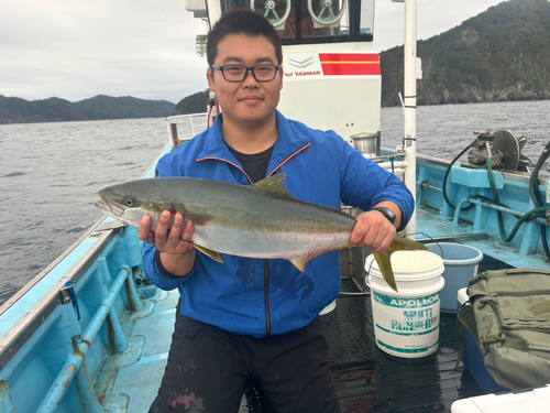 ブリの釣果