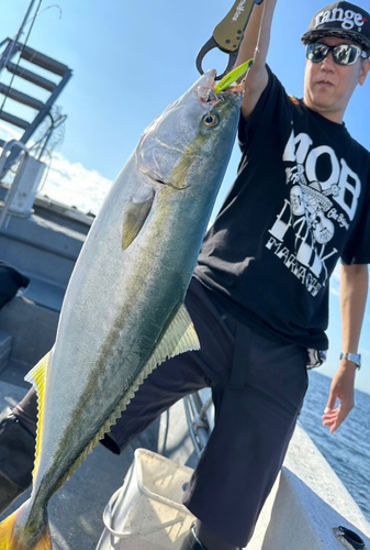 メジロの釣果