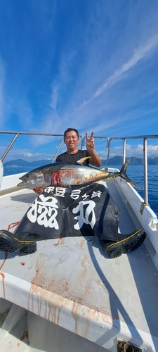 キハダマグロの釣果