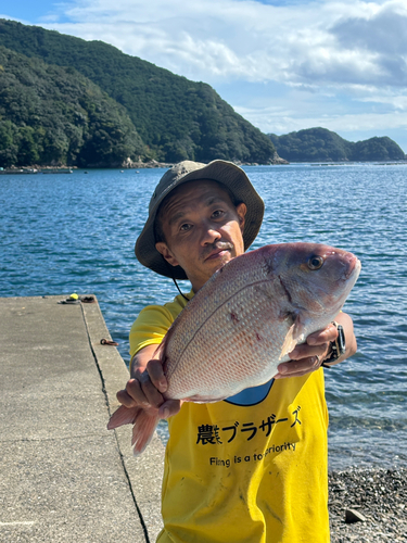 タイの釣果