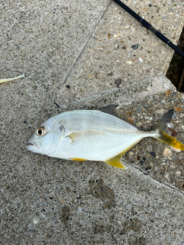 豊川浄化センター埋立地公園