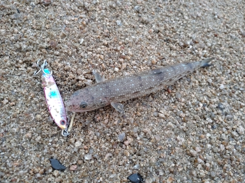 しまなみ海道