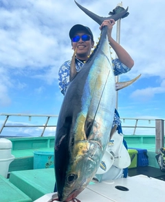 キハダマグロの釣果