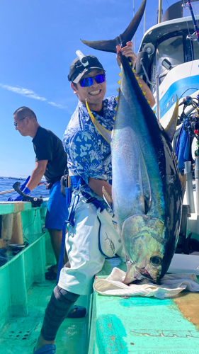 キハダマグロの釣果