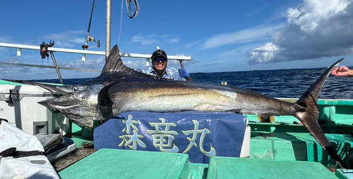 カジキの釣果