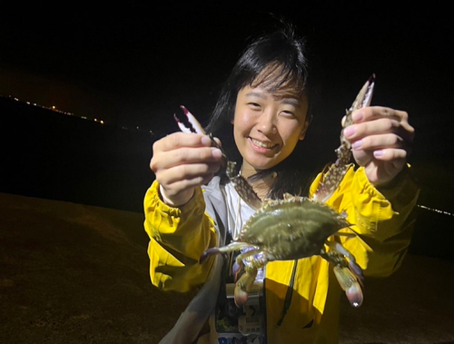 ワタリガニの釣果