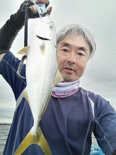 イナダの釣果