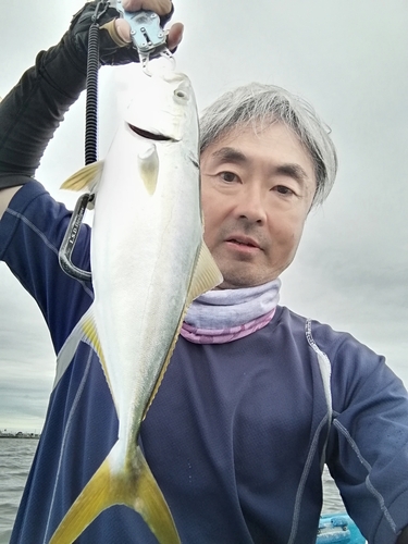 イナダの釣果