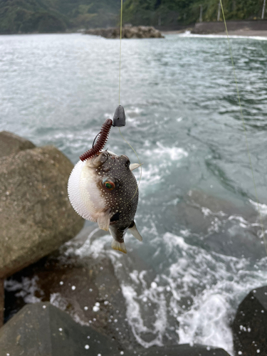 釣果