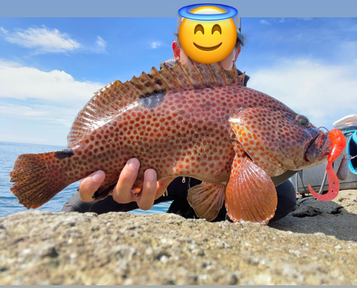 ノミノクチの釣果