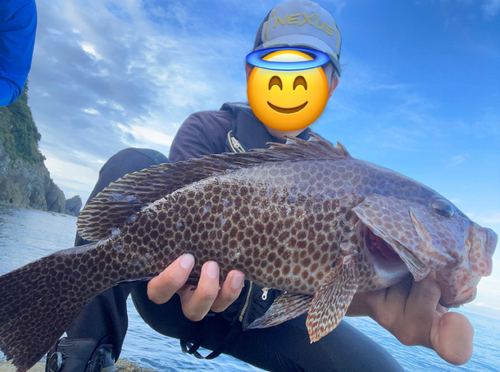 オオモンハタの釣果