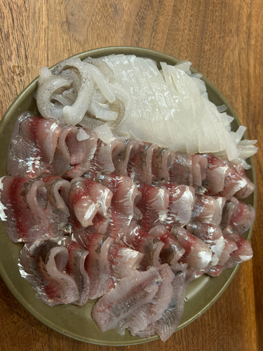 マアジの釣果